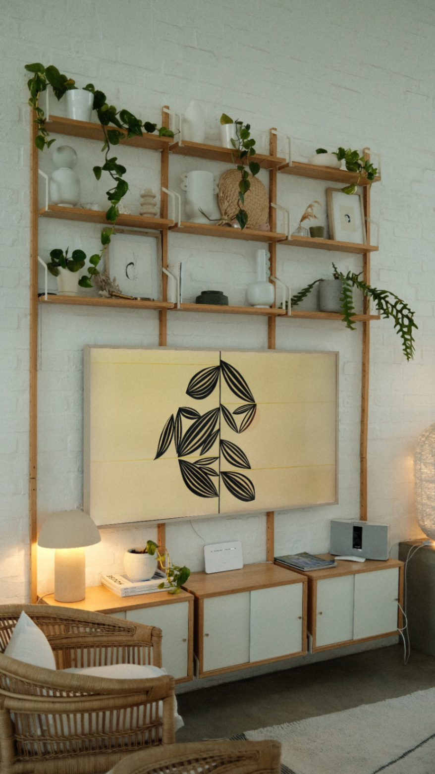Timber shelving wall, plants and collected objects