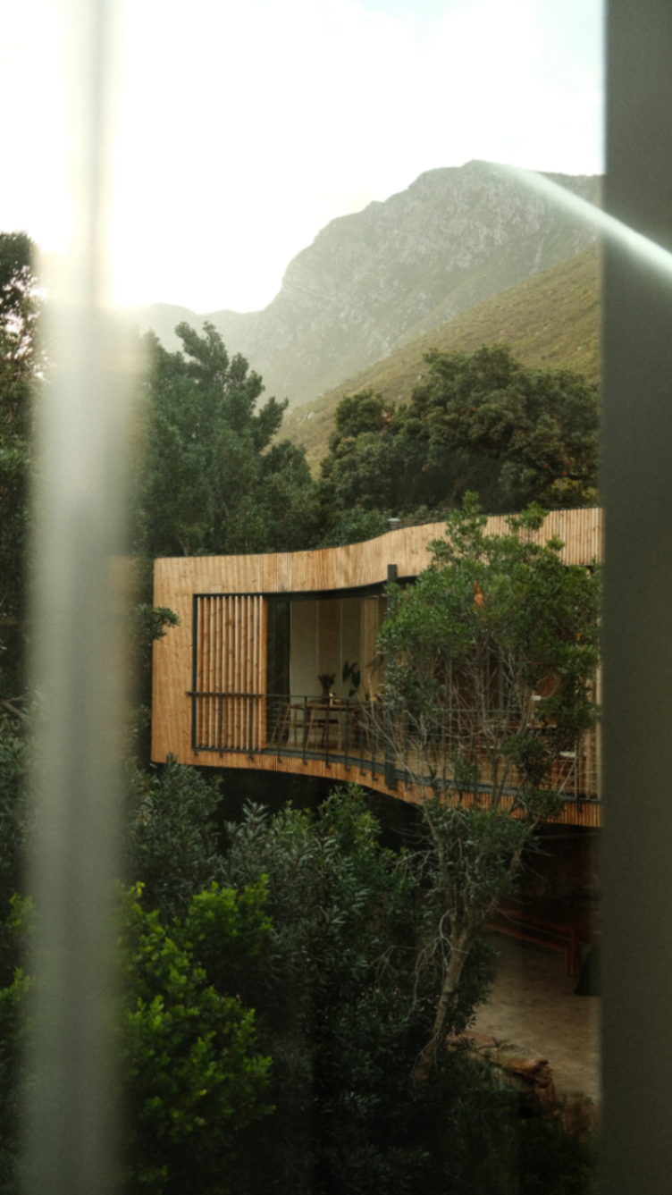 Curved facade glimpsed from within the trees
