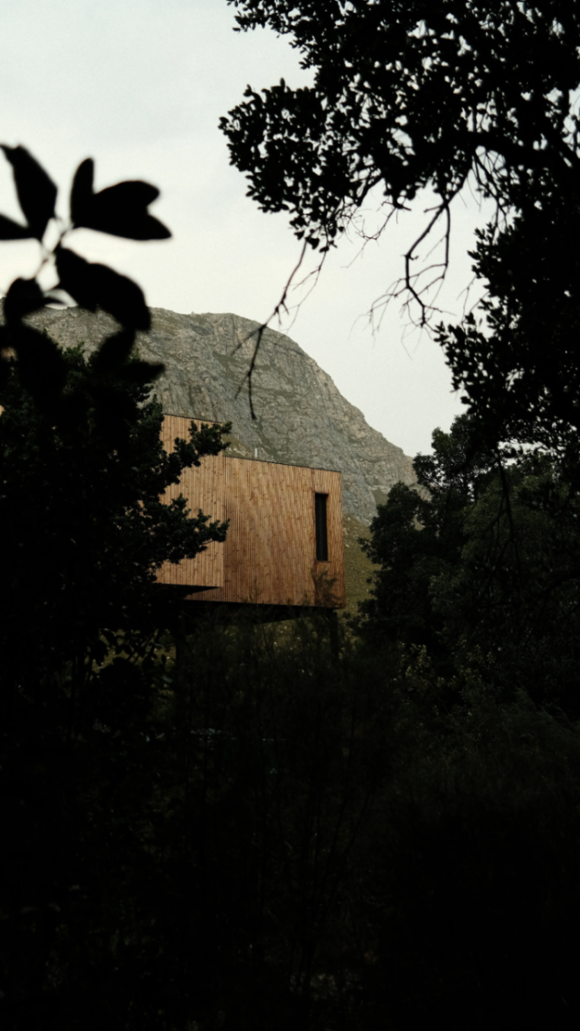The retreat framed by mountain stone and canopy